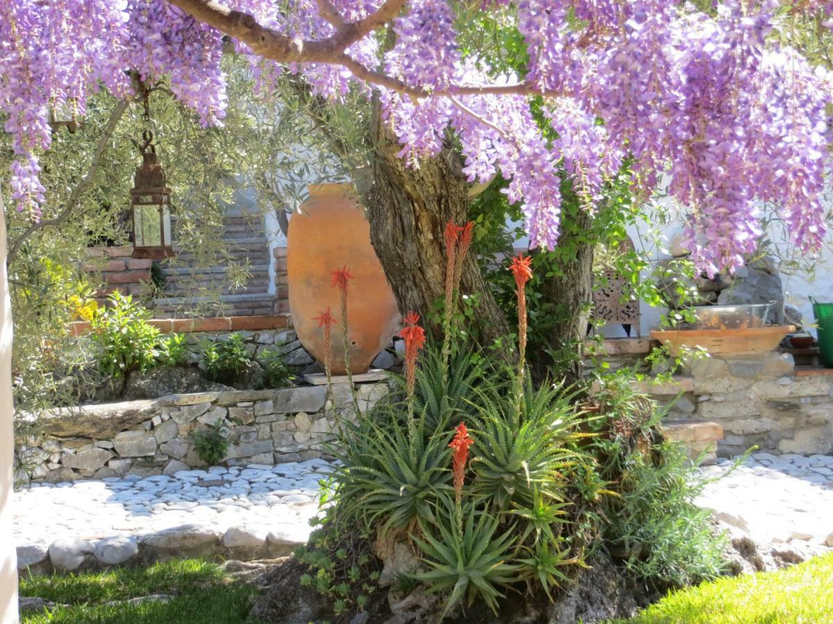 Villa Colores En El Viento Frigiliana